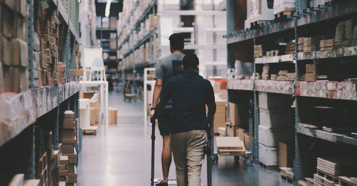 Cover Image for Exploring Warehouse Jobs: Your Path to Career Success